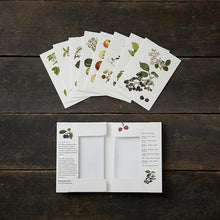 Load image into Gallery viewer, Pine Trees Square Cardfolder W/ 8 Cards And Envelopes
