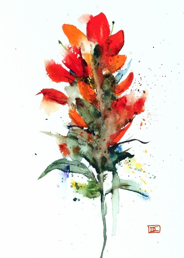 5"x7" Greeting Card Indian Paintbrush