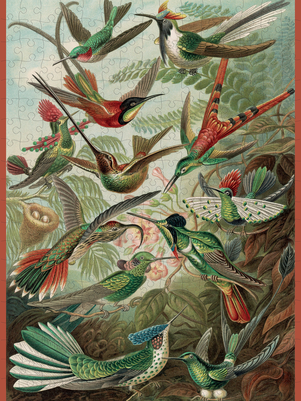 300 pc. Hummingbirds Puzzle