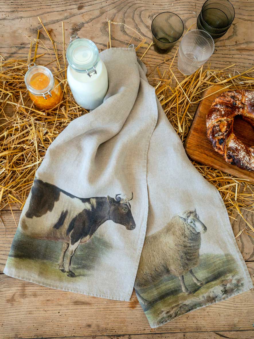Cow Kitchen Towel, 18x27