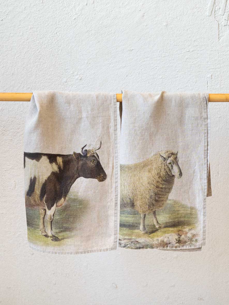 Cow Kitchen Towel, 18x27