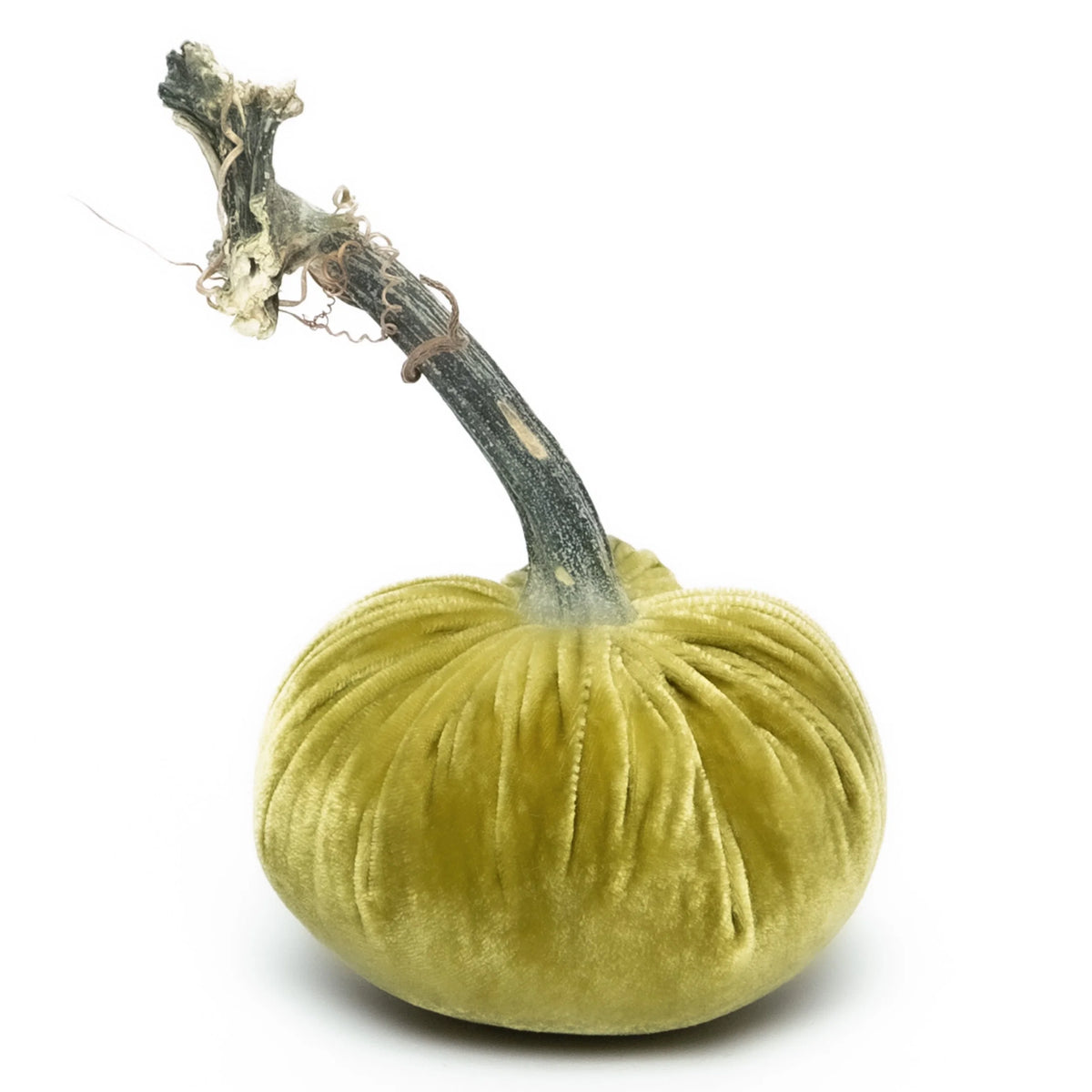 5" Velvet Pumpkin
