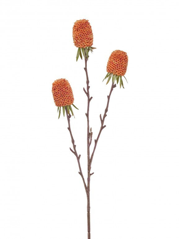 29" Autumn Thistle X3, Sunset