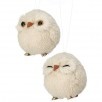 4.5" Chubby Snow Owl Ornament