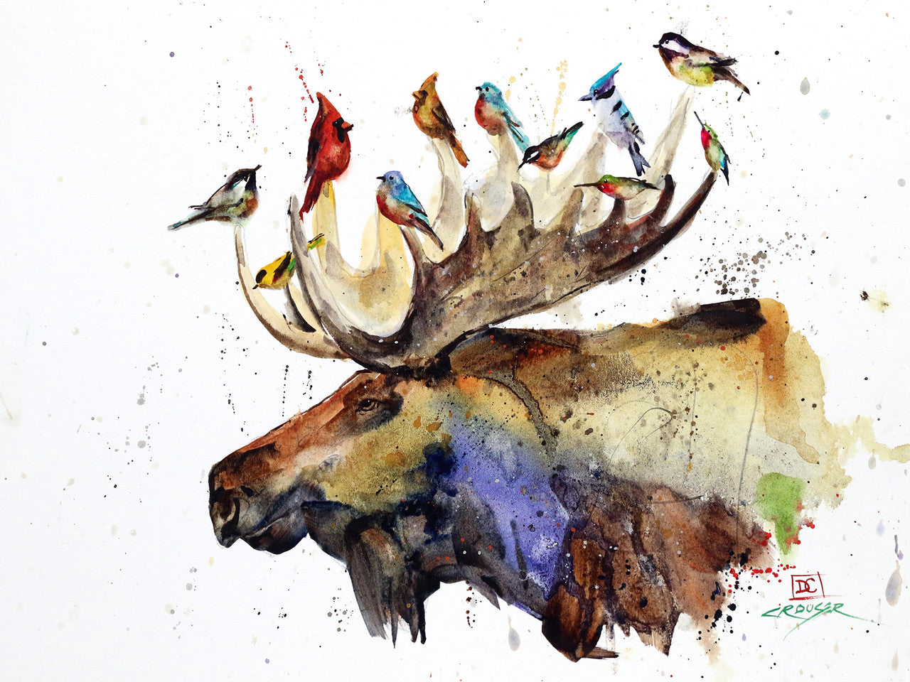 5 x 7" Greeting Card  'MOOSE & BIRDS'