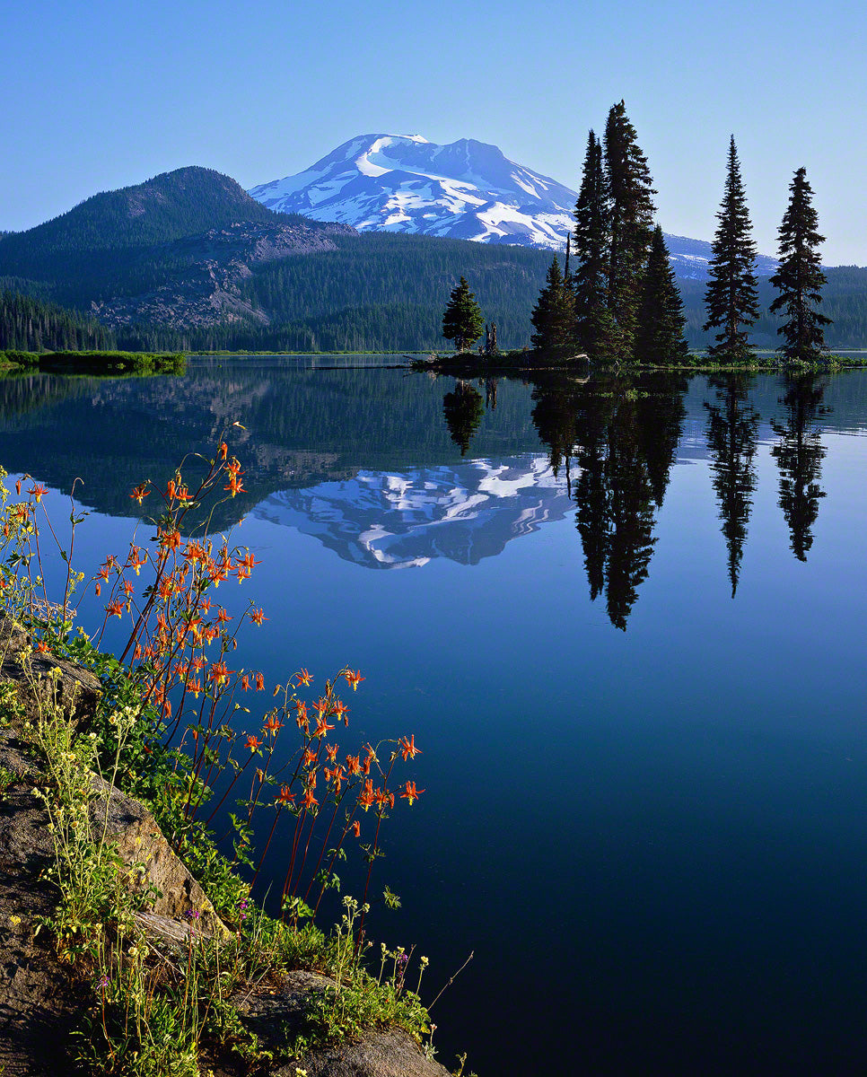Postcard- 'Morning Elegance' , Sparks Lake