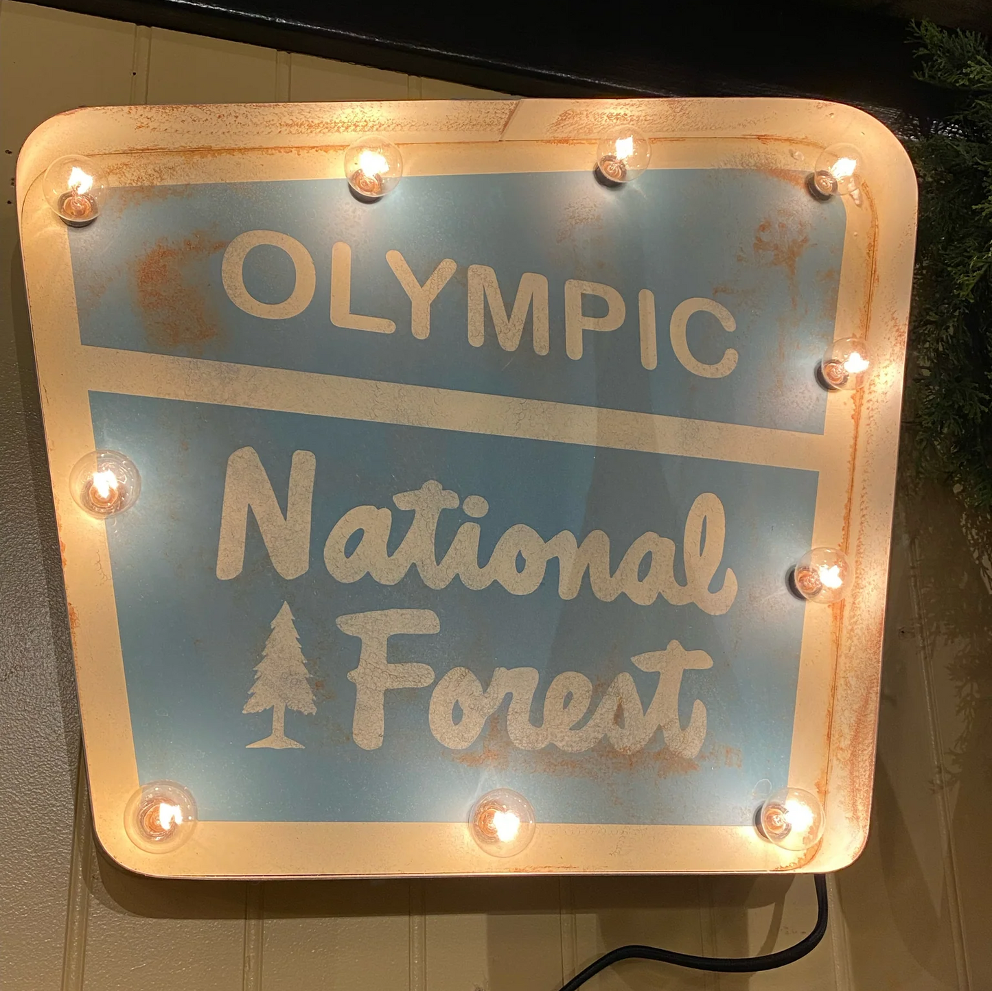 Olympic National Forest Lighted Sign