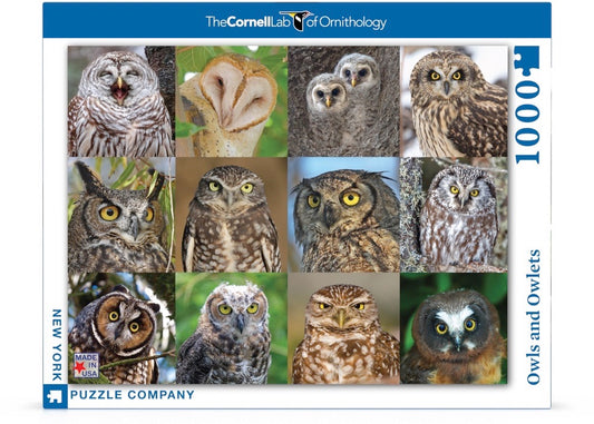 Owls and Owlets Puzzle