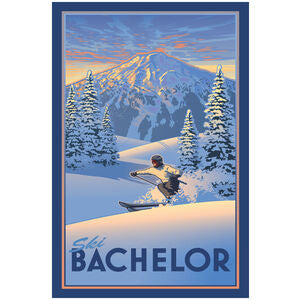 Ski Bachelor Postcard