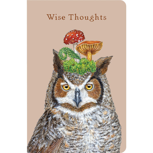 Hummingbirds Notebook