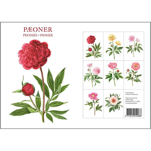 Square Card Folder- Peonies Design w/ 8 Cards
