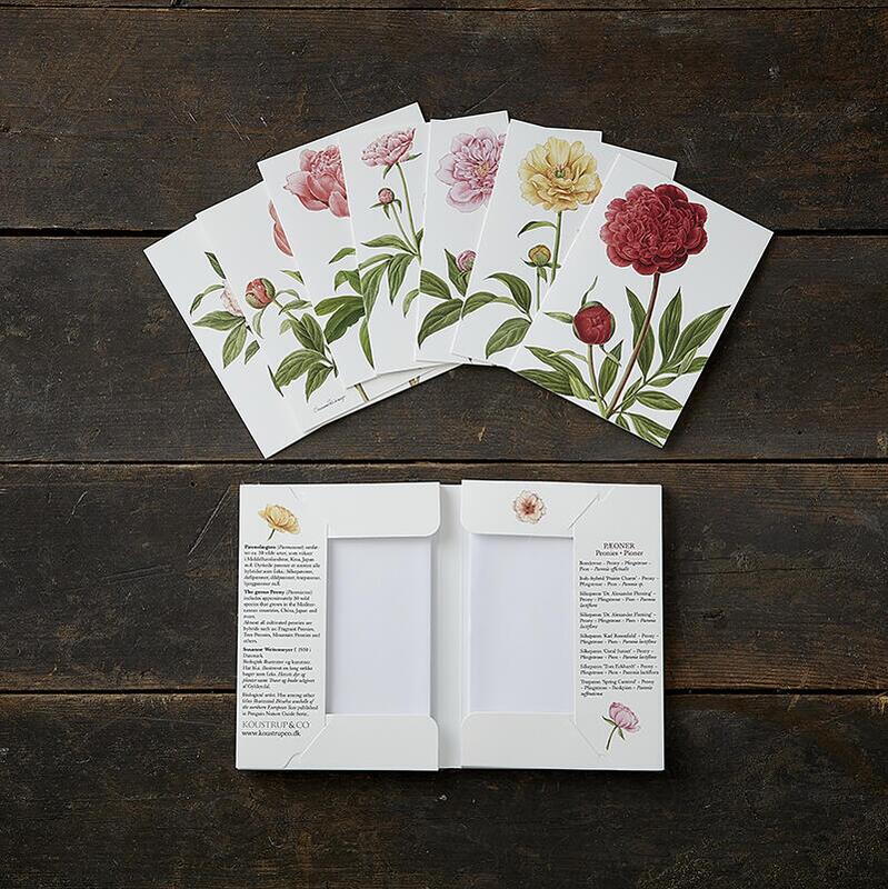 Square Card Folder- Peonies Design w/ 8 Cards