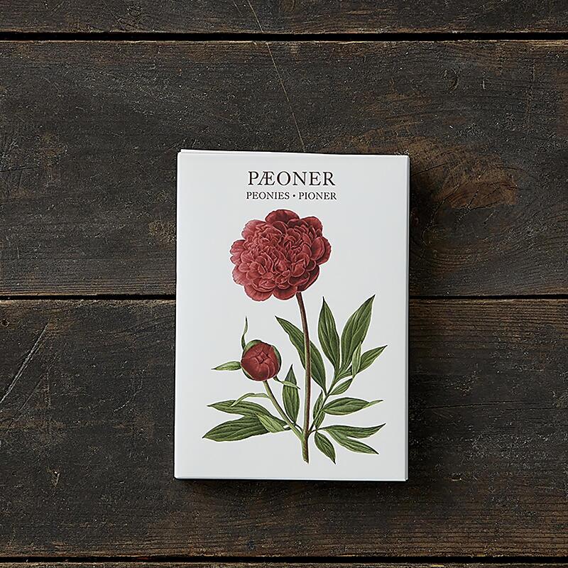 Square Card Folder- Peonies Design w/ 8 Cards