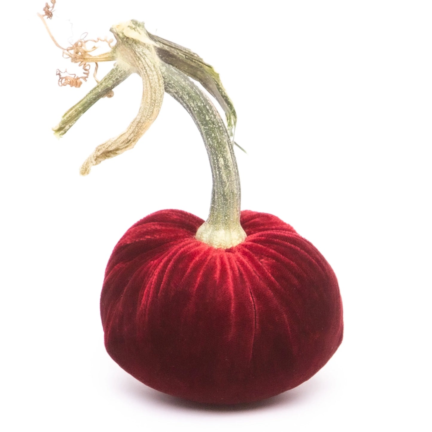 3" Velvet Pumpkin