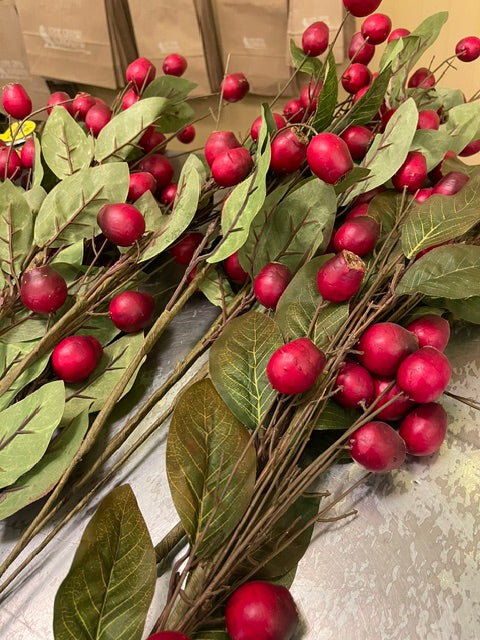 Berry Pick, Red