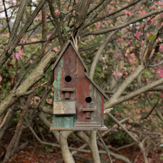 Brown & Green Two Entry Birdhouse