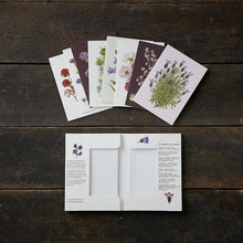 Load image into Gallery viewer, Card Folder- Summer flowers 8 cards w/8 envelopes
