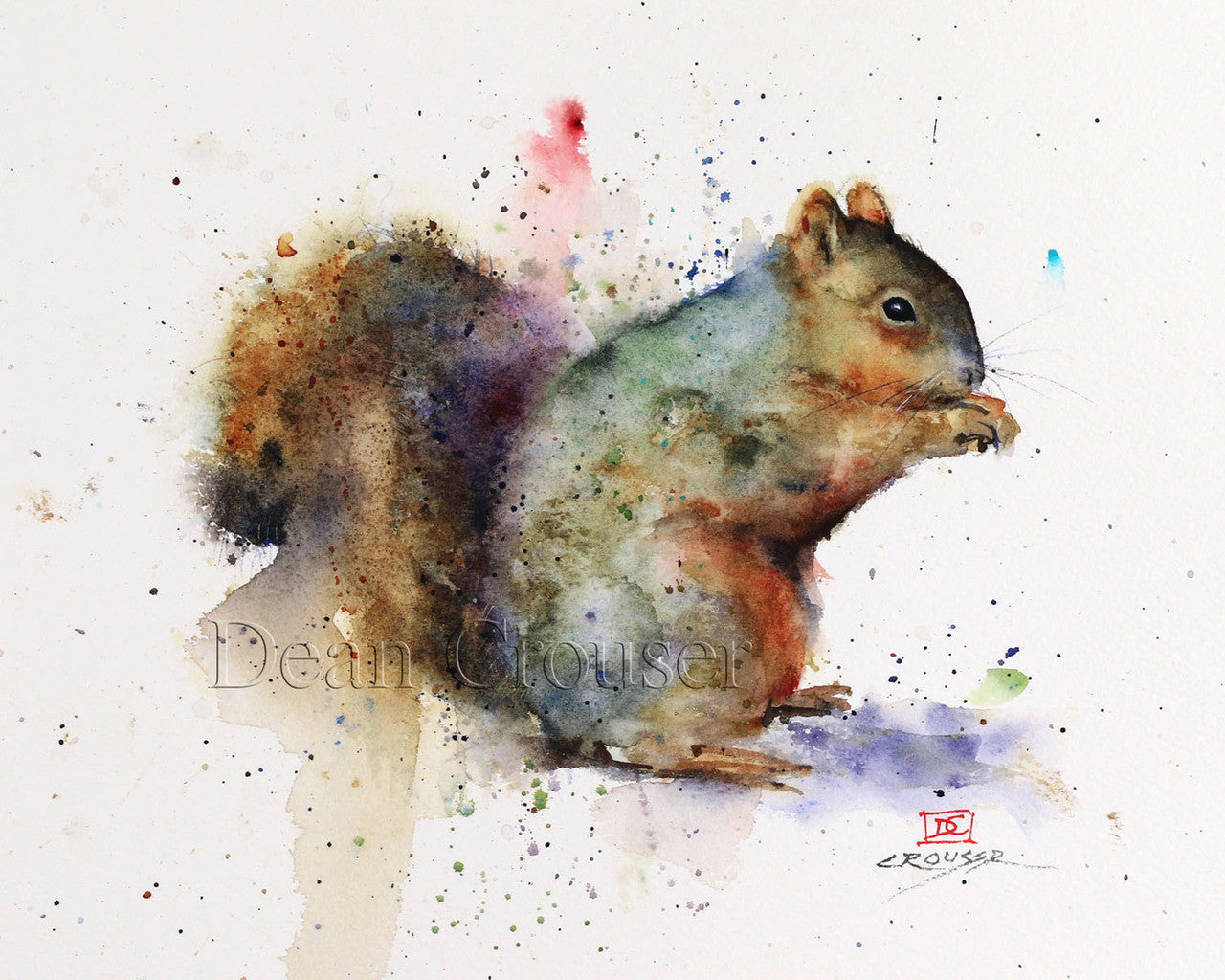 Squirrel 5X7 Greeting Card