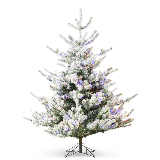 5.5' Snowy Deluxe Rocky Mountain Spruce with Brilliant Color Change LED Lights