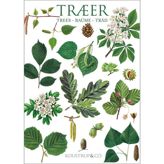 Card Folder- Trees