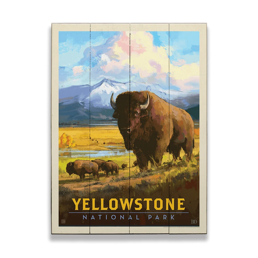 Bison Encounter at Yellowstone National Park - Wood Wall Art