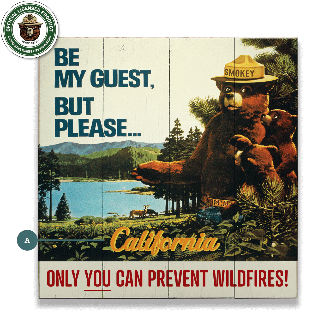 28x28" Smokey Bear 1967 "Be My Guest" Personalized ( OREGON) Wood & Metal Art