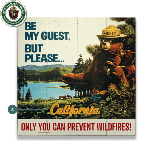 28x28" Smokey Bear 1967 "Be My Guest" Personalized ( OREGON) Wood & Metal Art