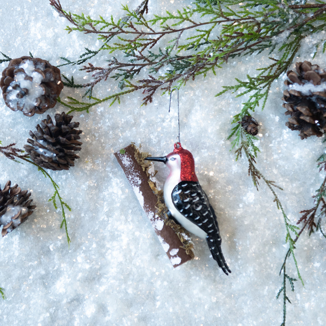 Black & Red Woodpecker Ornament