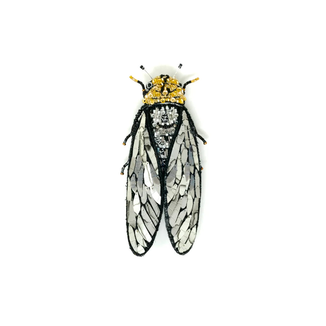 Walker's Cicada Brooch Pin