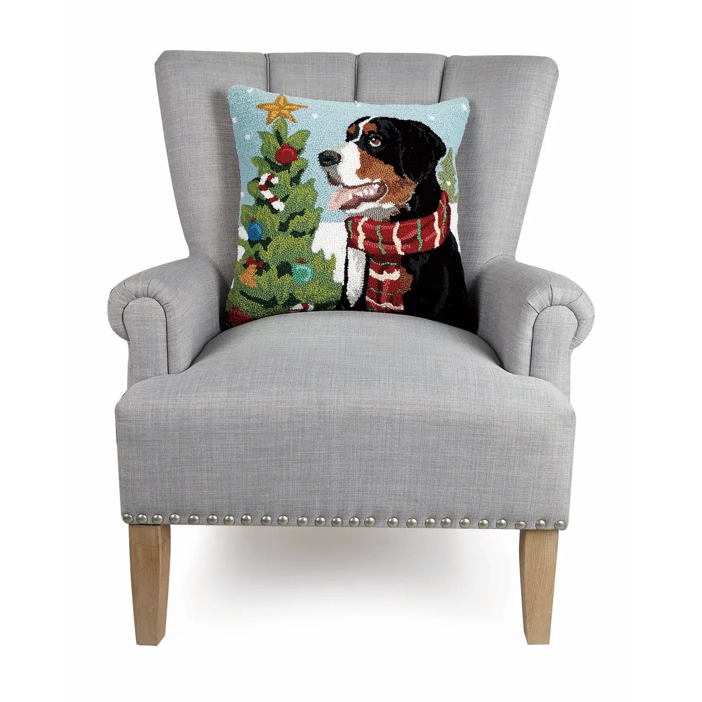 BERNESE MOUNTAIN DOG HP PF