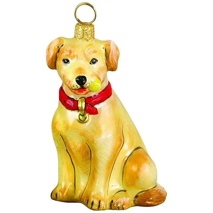 Yellow Lab w- Tennis Ball