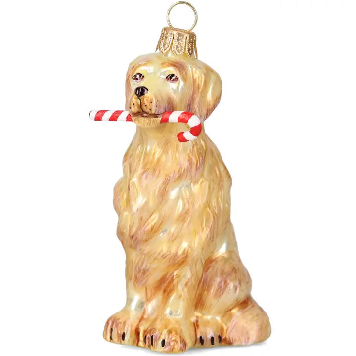 Golden Retriever with Candy Cane Ornament