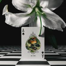 Load image into Gallery viewer, Grimmlore Tartan Playing Cards
