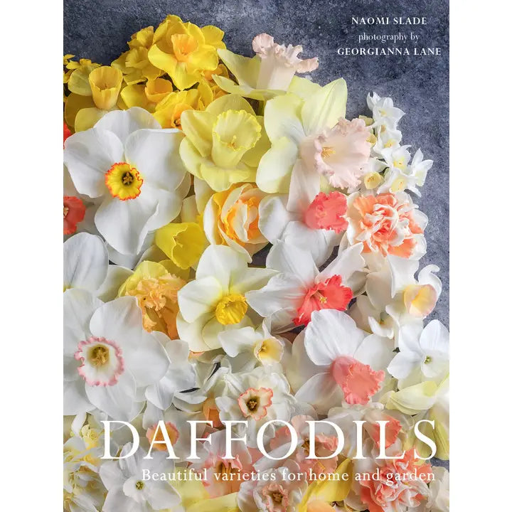 Daffodils: Beautiful Varieties For Home and Garden