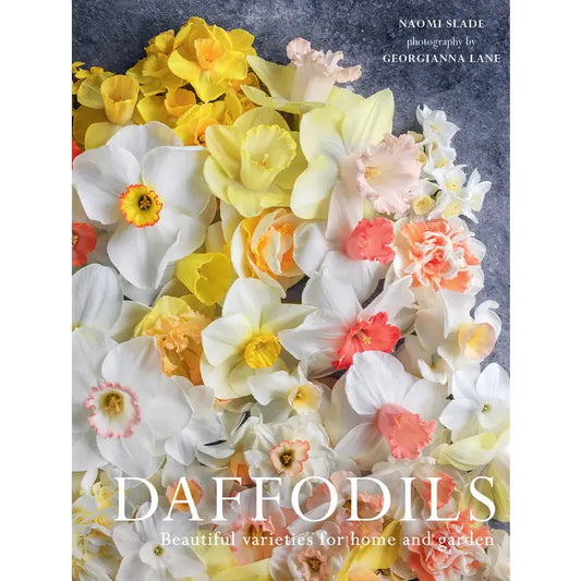 Daffodils: Beautiful Varieties For Home and Garden