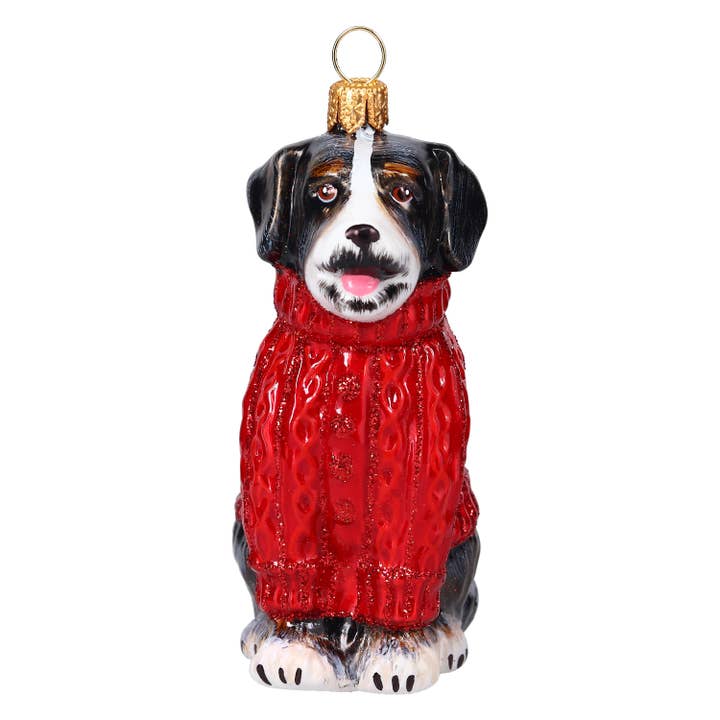 Bernese Mountain Dog in Aran Sweater