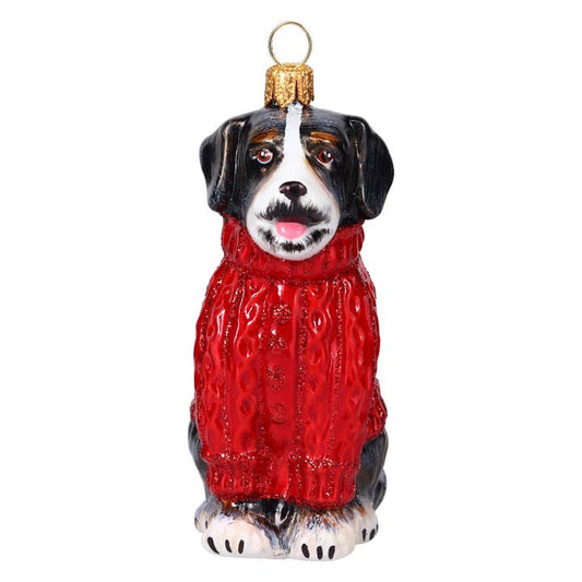 Bernese Mountain Dog in Aran Sweater