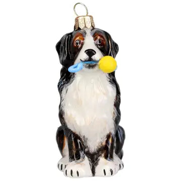 Bernese Mt Dog with Chew Toy Ornament