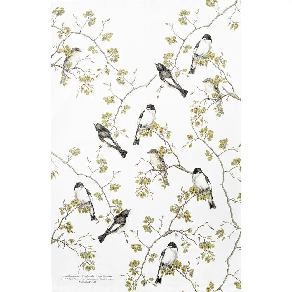 Garden Birds- Pied Flycatcher Tea Towel 100% Organic Cotton