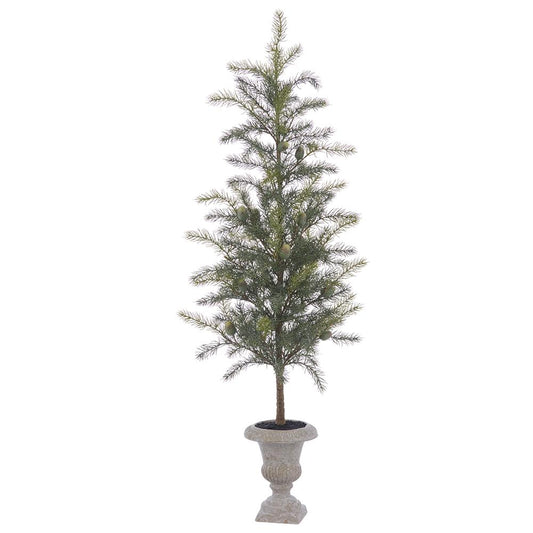 52" Douglas Fir Tree in Paper Mache Urn