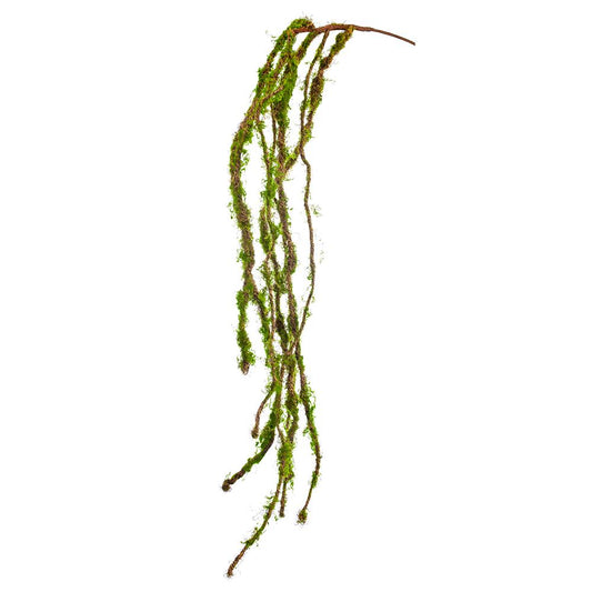 54" Moss Hanging Spray