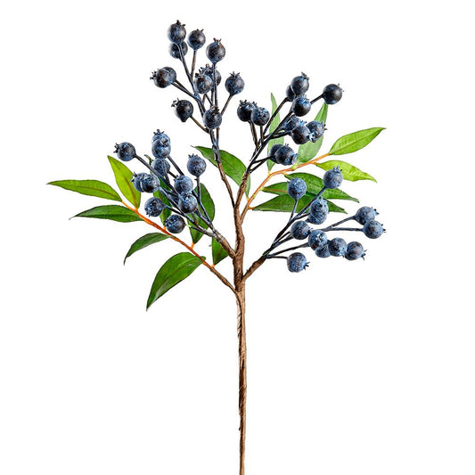 20" Blueberry Spray