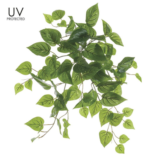 19" Philo Bush, GR (UV protected)