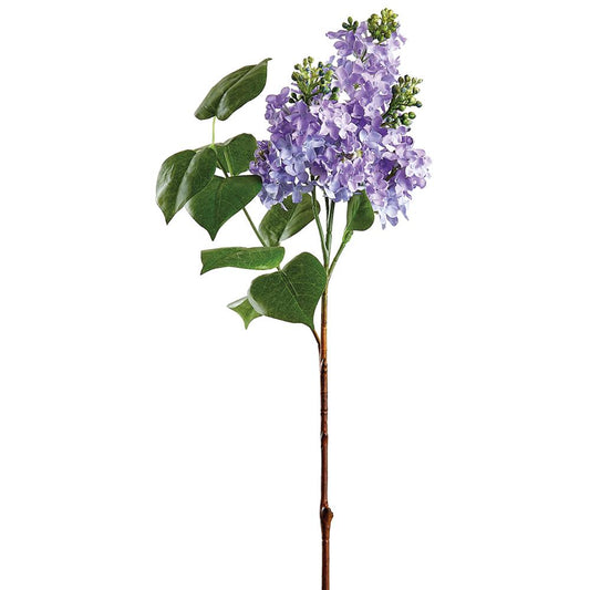 26" Lilac Spray LV