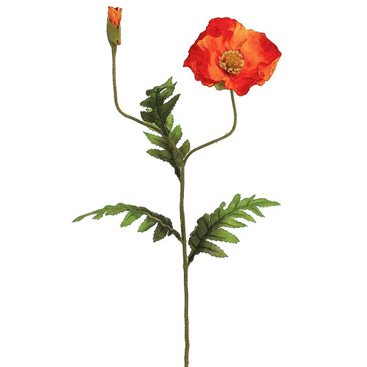 28" Poppy Spray X2