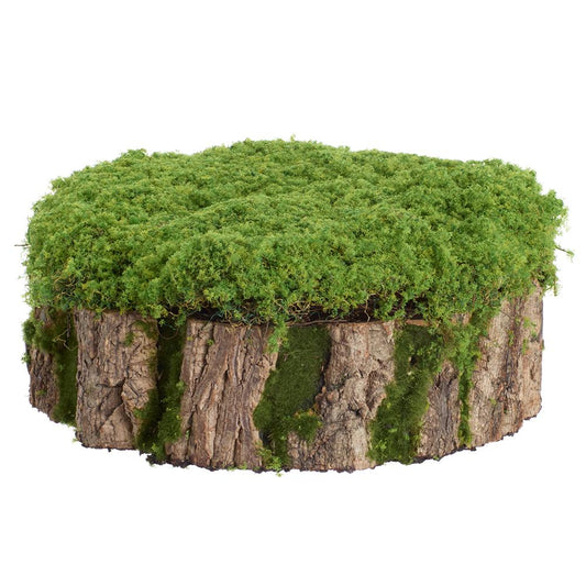 Moss Stump, 5"Hx13"D