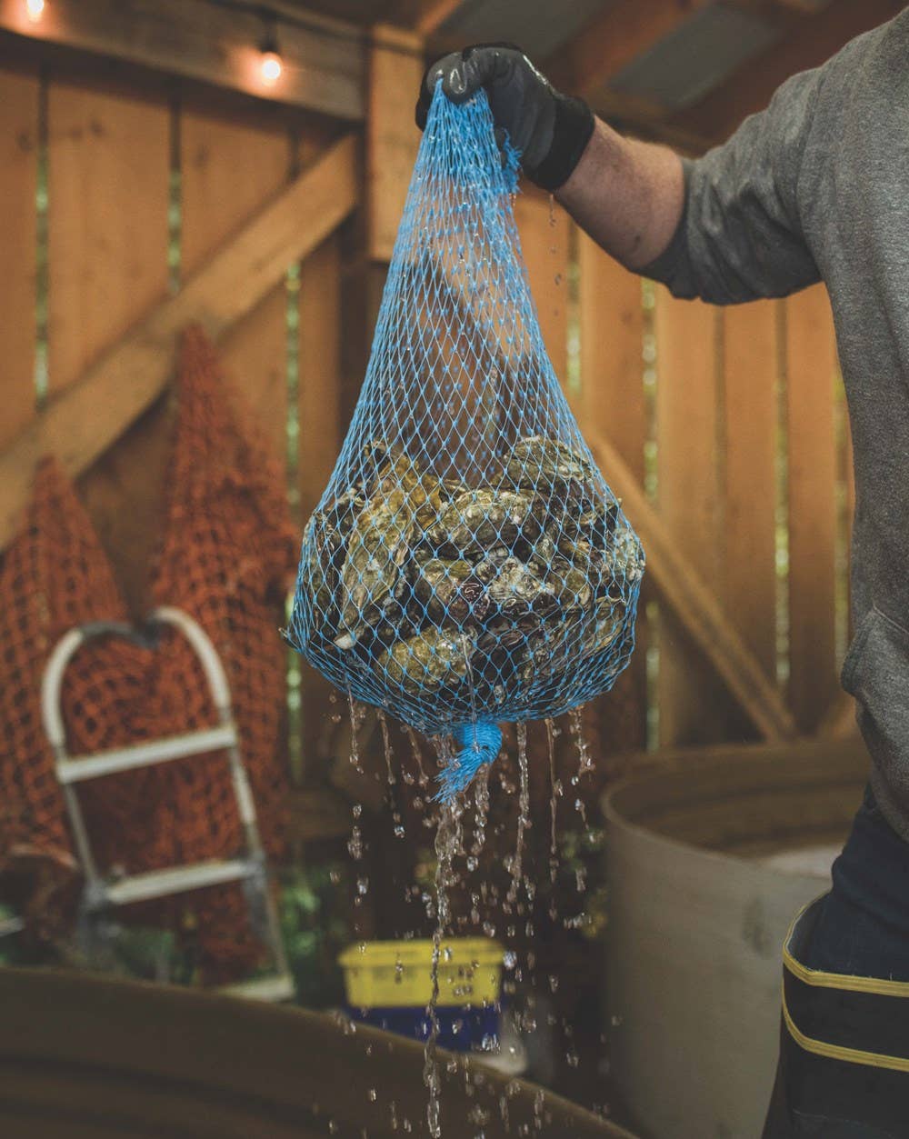 The Pacific Northwest Seafood Cookbook: Hardcover