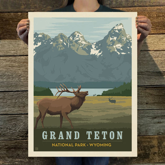Grand Teton National Park: Elk Art Print | 11X14"