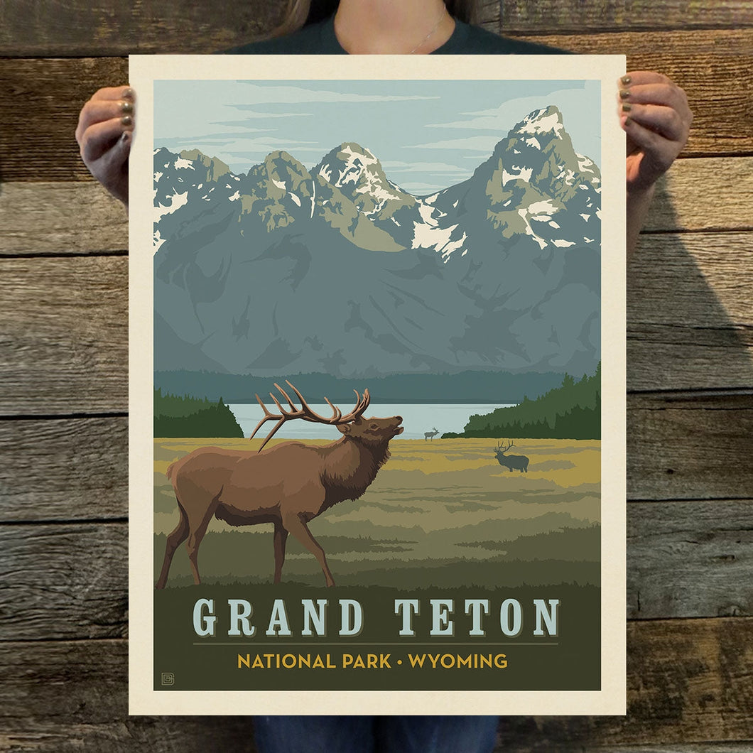 Grand Teton National Park: Elk Art Print | 11X14