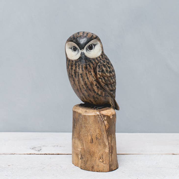 10" Saw Whet Owl